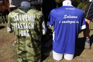 Le Sporting Club Bastia jouera avec son maillot camouflage au PSG et la mention "Salvemu i Castagni".