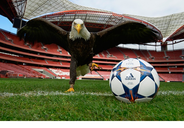 Le ballon de la finale de la Ligue des champions 2014 - @ adidas