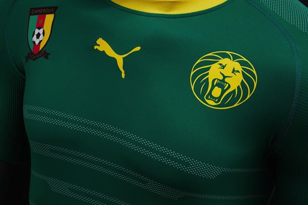 Voilà le nouveau maillot du Cameroun pour l'année 2016. 